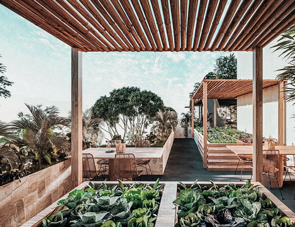 Departamento en venta en Tulum Centro, Tulum — foto 2 de 16