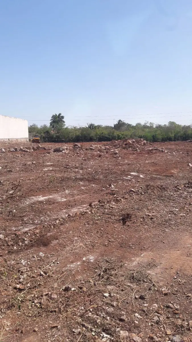 Terreno en renta en La Guadalupana, Mérida — foto 1 de 12