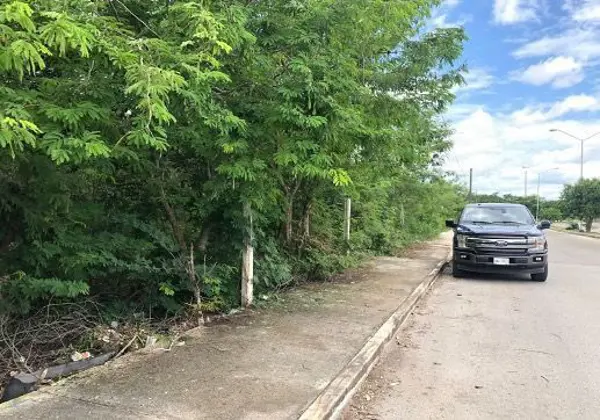 Terreno en renta en Santa Cruz, Mérida — foto 3 de 13
