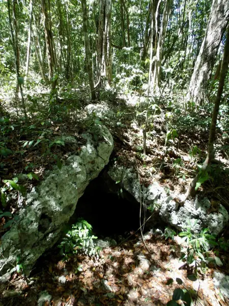 Terreno en venta en Jose Maria Pino Suarez, Felipe Carrillo Puerto — foto 3 de 12
