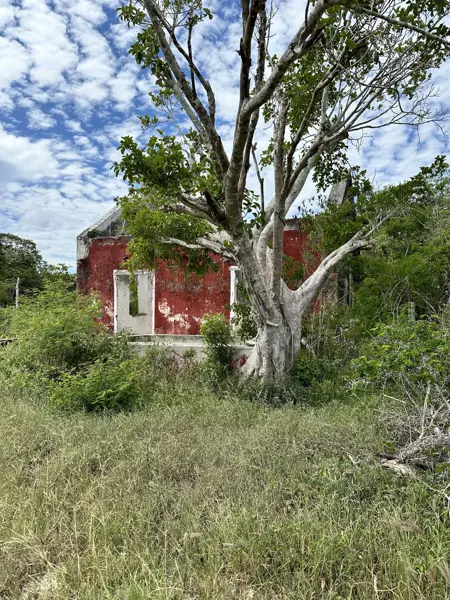 Terreno en venta en San Ignacio, Progreso — foto 3 de 14