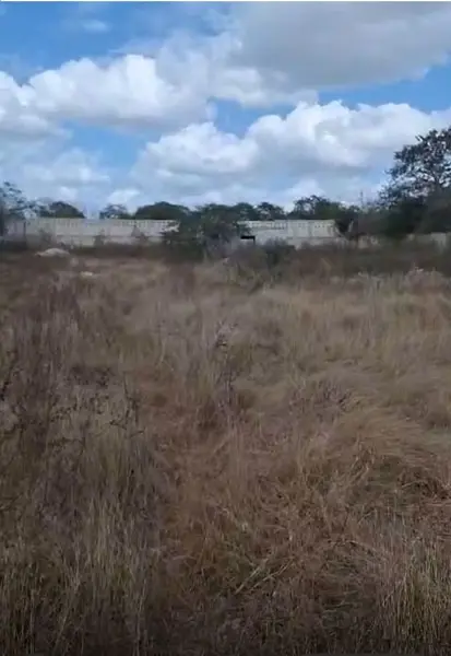 Terreno en renta en Chichi Suarez, Mérida — foto 3 de 10