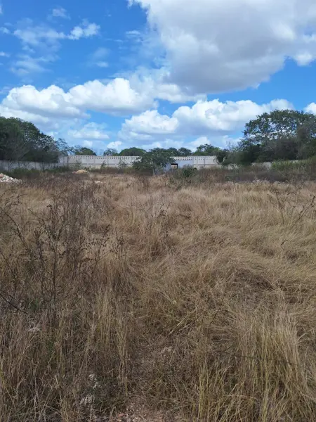 Terreno en renta en Chichi Suarez, Mérida — foto 2 de 10
