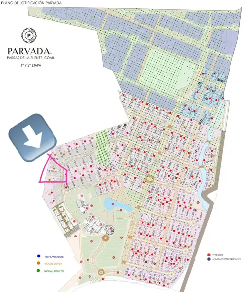 Terreno en venta en Parras, Parras — foto 2 de 16