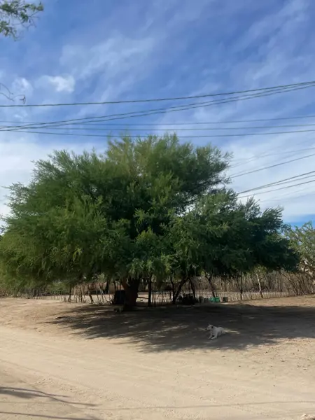 Terreno en venta en Calafia, La Paz — foto 3 de 3