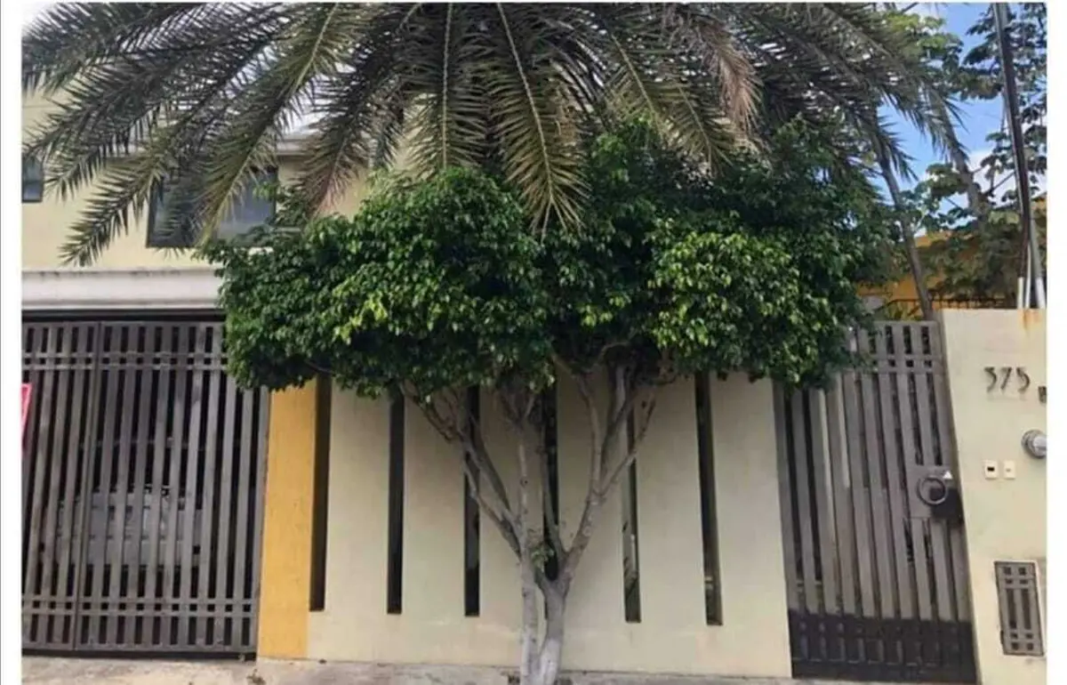 Casa en venta en Pedregales de Tanlum, Mérida — foto 1 de 14