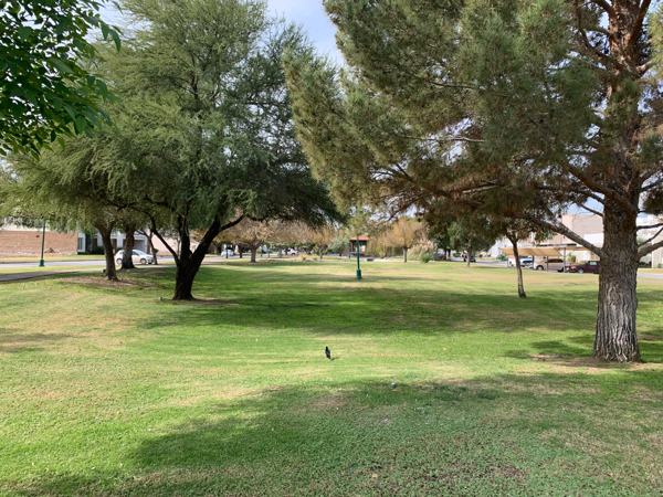 Terreno en venta en Las Villas, Torreón — foto 2 de 16