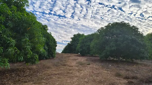 Terreno en venta en Cerro de Piedra, Acapulco de Juárez — foto 2 de 54