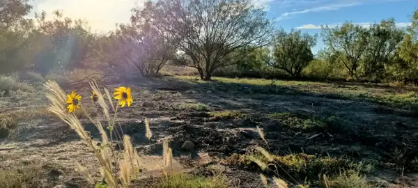 Terreno en venta en Benito Juárez, San Buenaventura — foto 2 de 8