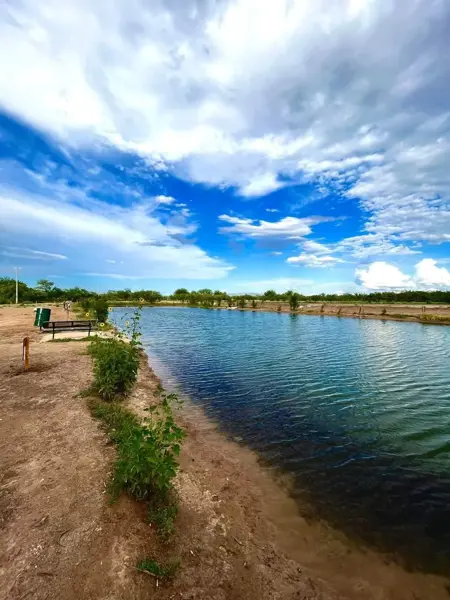 Terreno en venta en Benito Juárez, San Buenaventura, Coahuila de Zaragoza