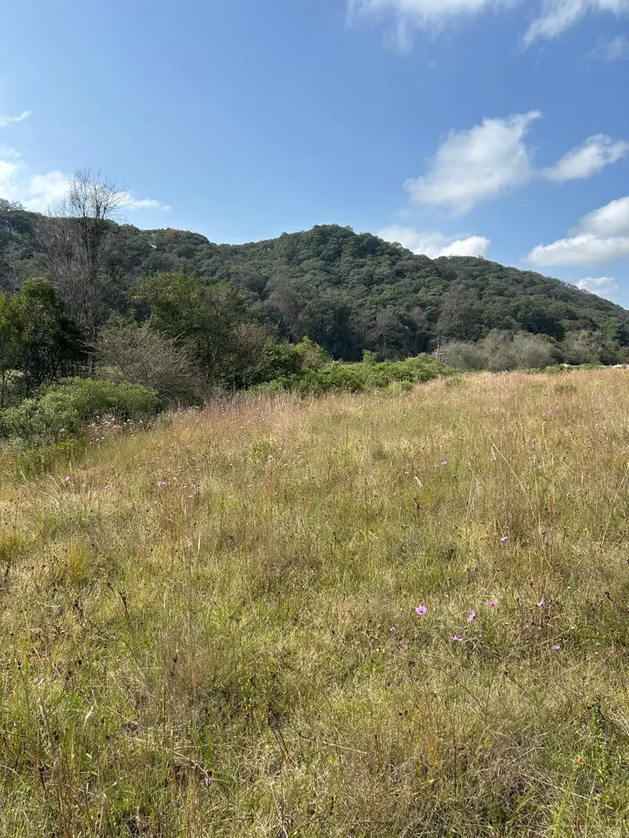 Terreno en venta en Espíritu Santo, Jilotzingo — foto 1 de 5