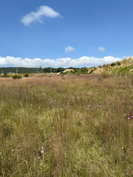 Terreno en venta en Espíritu Santo, Jilotzingo — foto 2 de 5