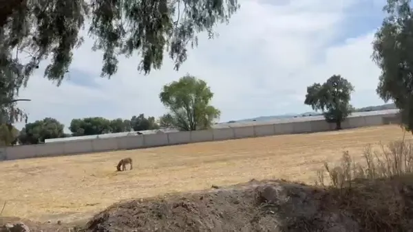 Terreno en venta en Villa de Tezontepec Centro, Villa de Tezontepec — foto 2 de 7