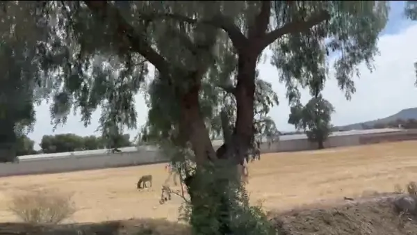 Terreno en Venta Villa de Tezontepec Centro, Hidalgo