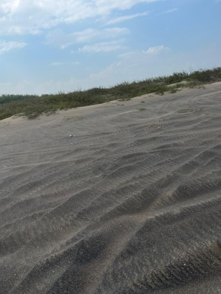 Se venden 42 has frente al golfo en Ursulo Galván