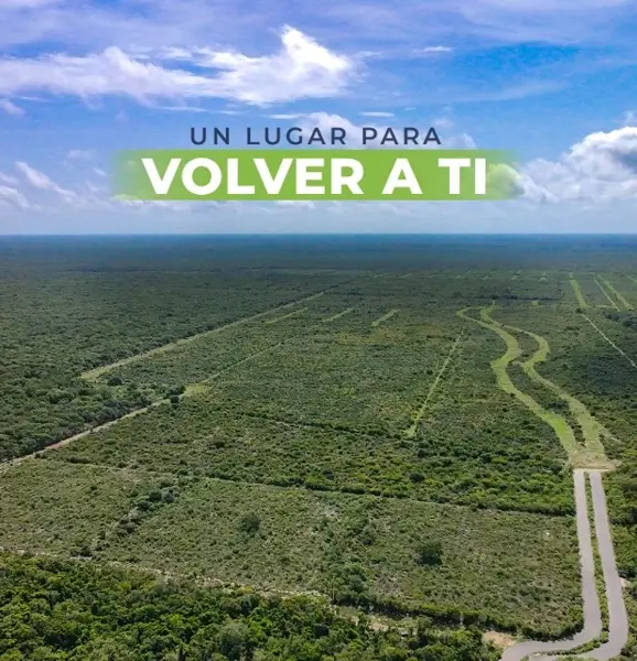 Terreno en venta en Centro Telchac Pueblo, Telchac Pueblo — foto 2 de 8