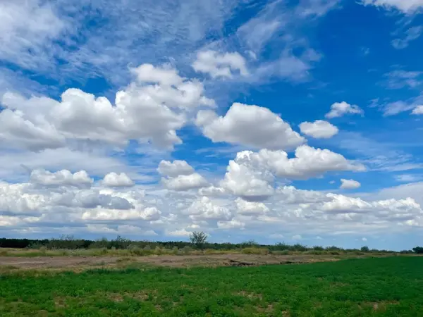 Terreno en venta en Tacubaya, San Pedro, Coahuila de Zaragoza
