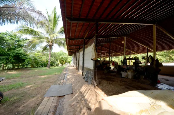 Finca-Rancho en venta en San Francisco, Bahía de Banderas — foto 2 de 17