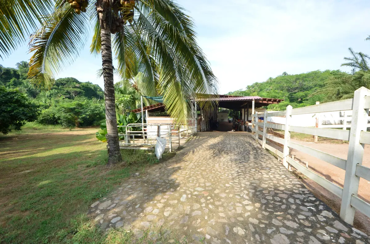 Finca-Rancho en venta en San Francisco, Bahía de Banderas — foto 1 de 17