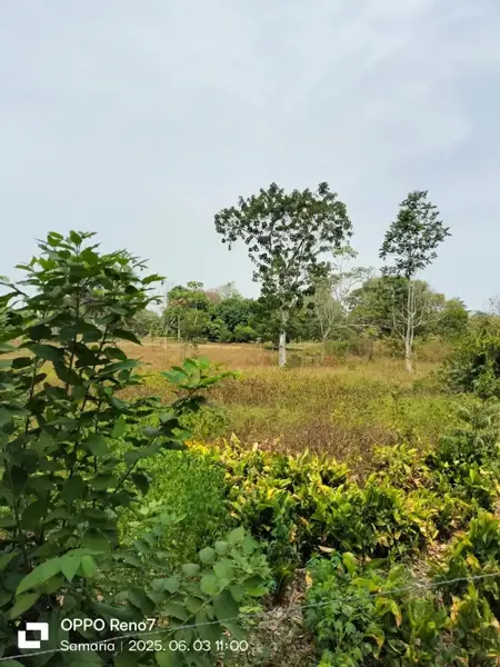 Terreno en venta en Saloya 1ra. Sección, Nacajuca — foto 3 de 6