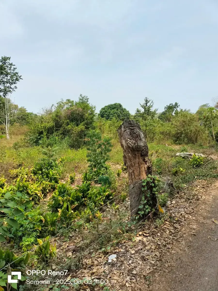 Terreno en venta en Saloya 1ra. Sección, Nacajuca — foto 1 de 6