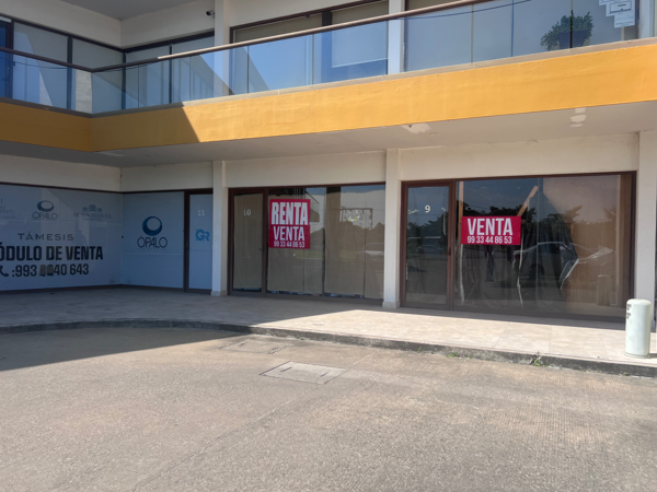 Local en renta en Ónix, Centro — foto 2 de 6