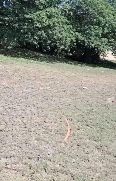 Terreno en venta en Bosque de San Pedro, Santiago — foto 2 de 5
