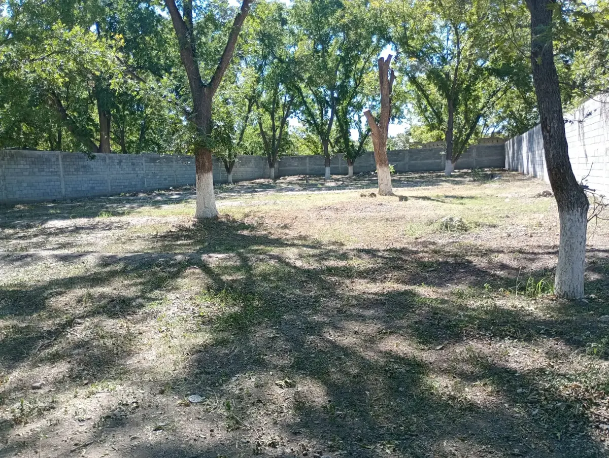 Terreno en Venta en Del Perico, Parras, Coahuila de Zaragoza Terreno en Venta en Del Perico, Parras, Coahuila de Zaragoza