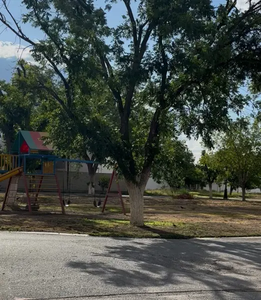 Terreno en venta en San Armando, Torreón — foto 2 de 3