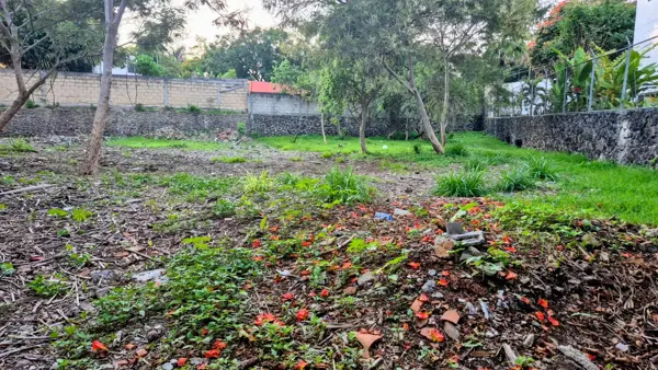 Terreno en venta en Las Fincas, Jiutepec — foto 3 de 7