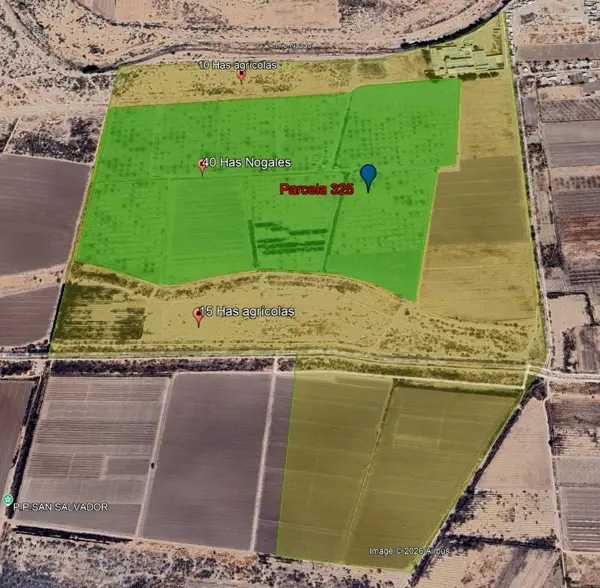 Terreno en venta en San Miguel, San Pedro — foto 3 de 14