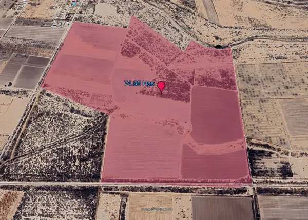 Terreno en venta en San Miguel, San Pedro — foto 3 de 6