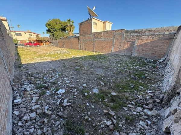 Terreno en venta en Del Bosque, Gómez Palacio — foto 3 de 7
