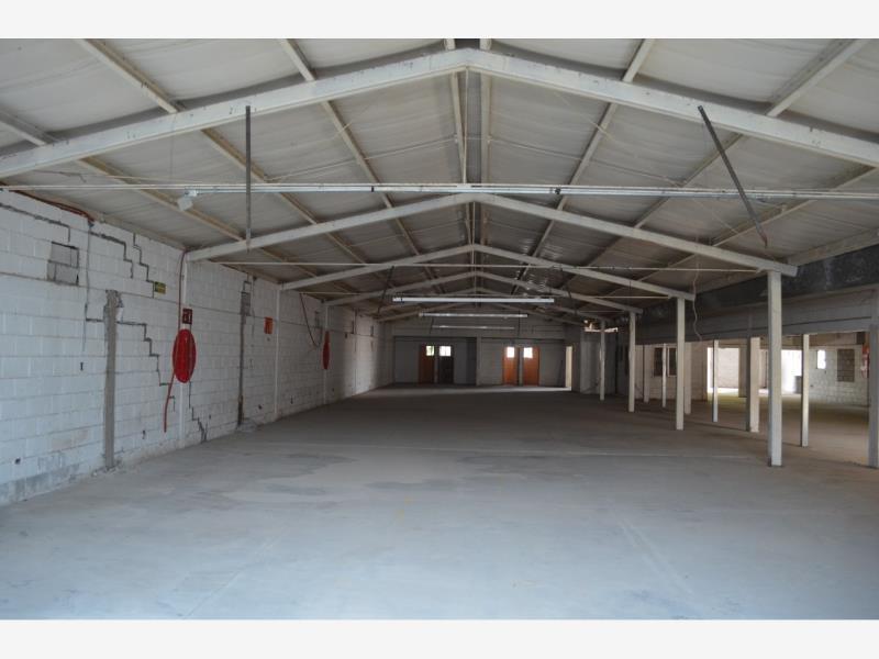 BODEGA EN VENTA Y RENTA EN LAS JULIETAS Y LA MERCED BODEGA EN VENTA Y RENTA EN LAS JULIETAS Y LA MERCED