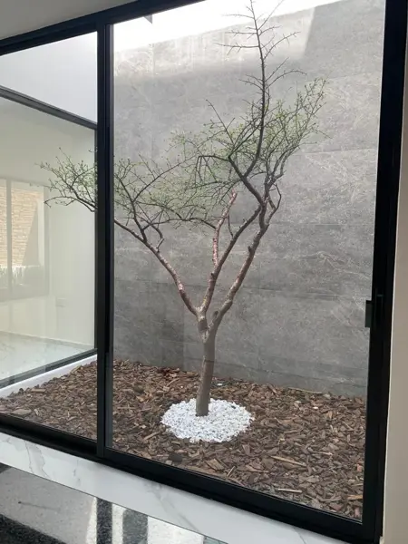 Casa en venta en Lomas de Angelópolis II, San Andrés Cholula — foto 2 de 14