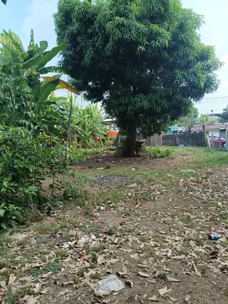 Terreno en venta en San Sebastián, Tapachula — foto 3 de 8
