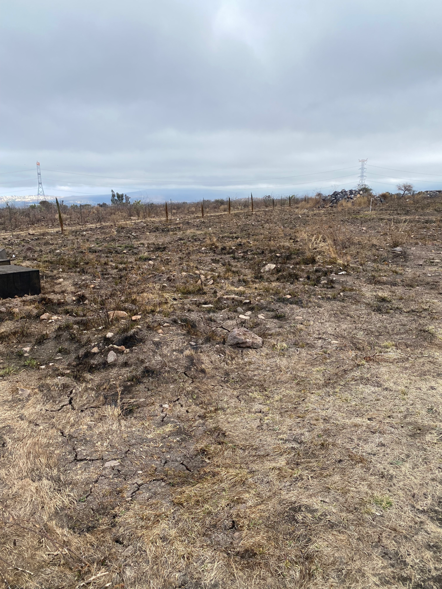 Terreno en venta en Las Taponas, Huimilpan — foto 1 de 2