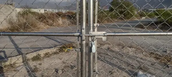 Terreno en renta en Ampliación California, Arteaga — foto 3 de 3