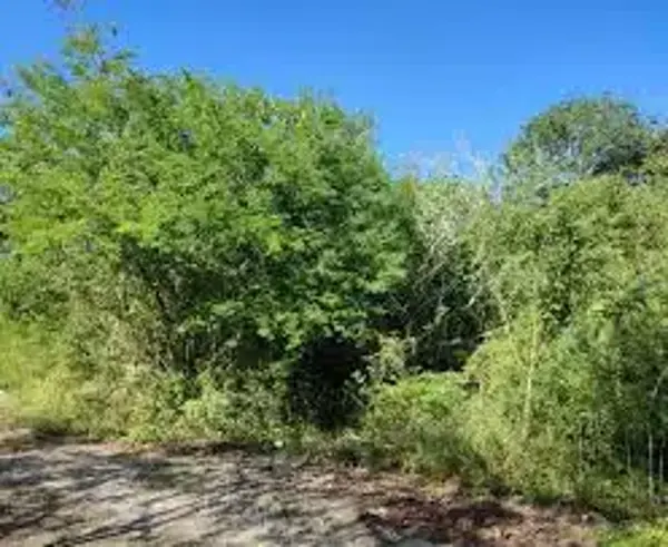 Terreno en venta en Dzibilchaltún, Mérida — foto 2 de 5