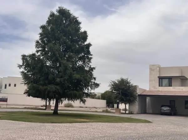 Terreno en venta en La Vinícola Residencial, Torreón — foto 3 de 4