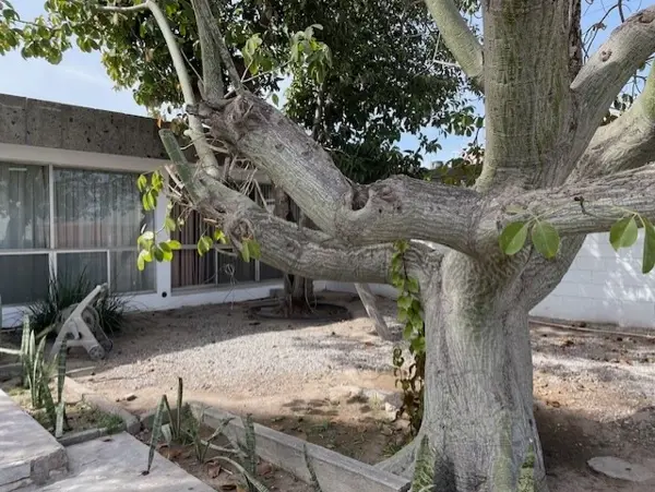 Casa en venta en Ampliación los Ángeles, Torreón — foto 2 de 33
