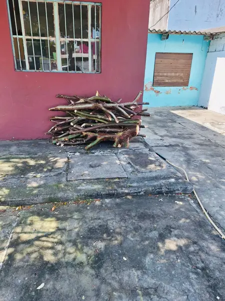 Terreno en venta en Ejido Primero de Mayo Sur, Boca del Río — foto 3 de 3