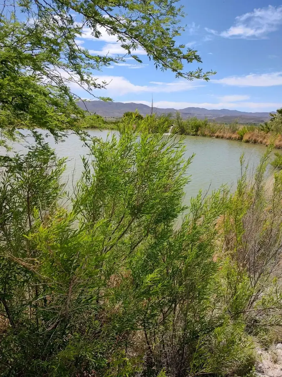 Vista 3 de Terreno en Venta en San Francisco de Conchos Centro, San Francisco de Conchos, Chihuahua