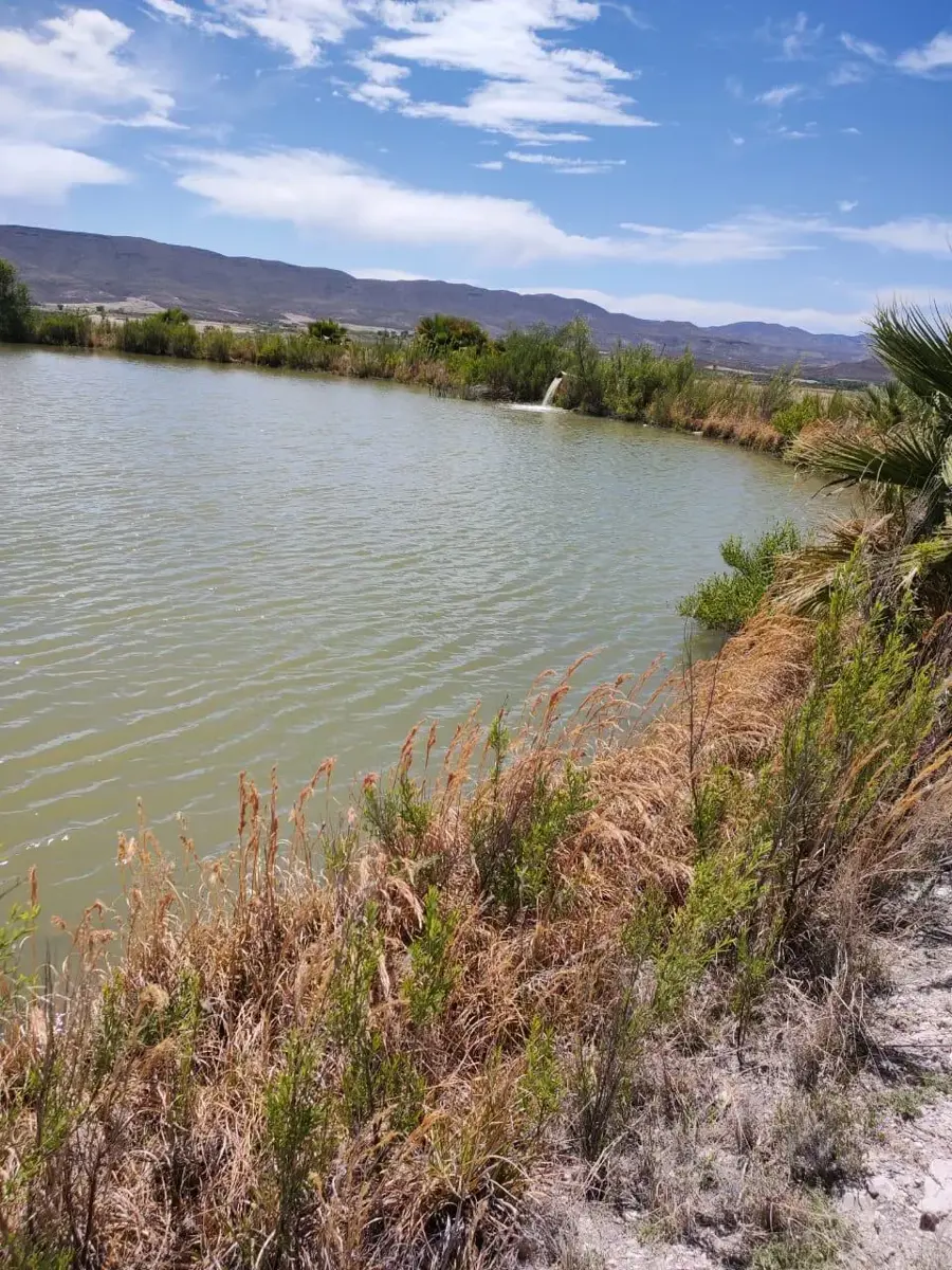 Vista 4 de Terreno en Venta en San Francisco de Conchos Centro, San Francisco de Conchos, Chihuahua