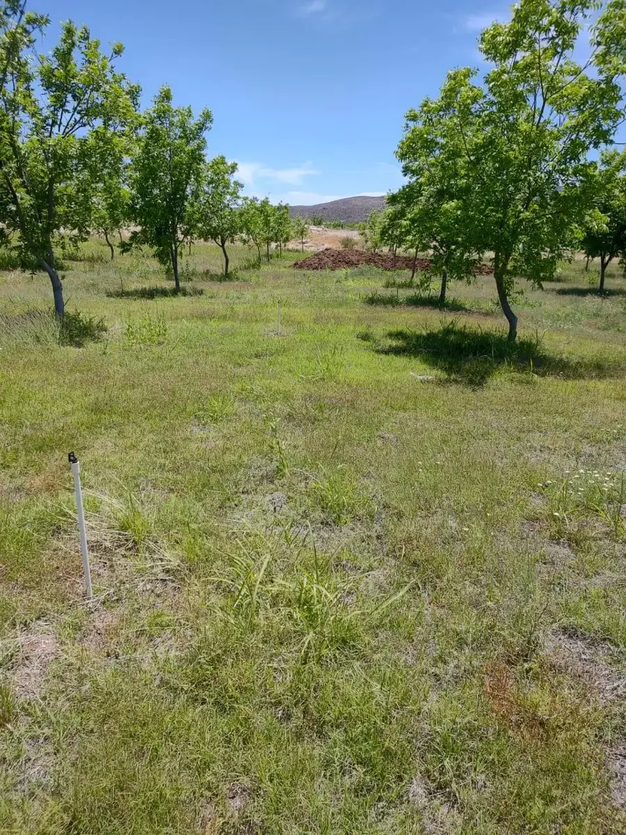 Vista 2 de Terreno en Venta en San Francisco de Conchos Centro, San Francisco de Conchos, Chihuahua