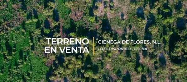 Terreno en venta en Cienega de Flores Centro, Ciénega de Flores — foto 2 de 6