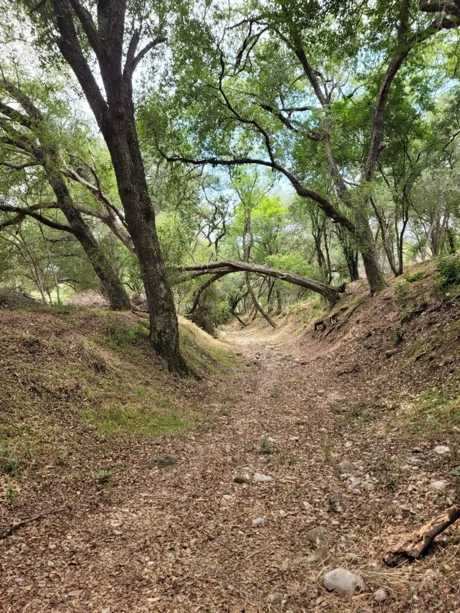 Terreno en venta en Los Lirios (Hacienda los Lirios), Montemorelos — foto 1 de 12