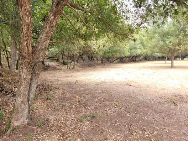 Terreno en venta en Los Lirios (Hacienda los Lirios), Montemorelos — foto 3 de 12