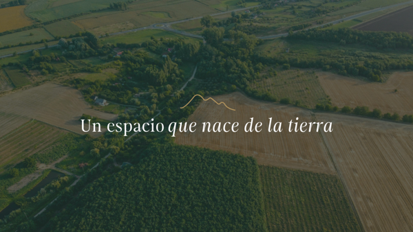 Terreno en venta en Huajuquito o los Cavazos, Santiago — foto 3 de 6
