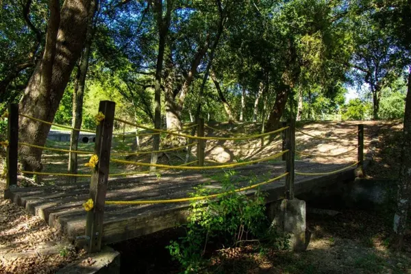 Terreno en venta en Canoas, Montemorelos — foto 2 de 12